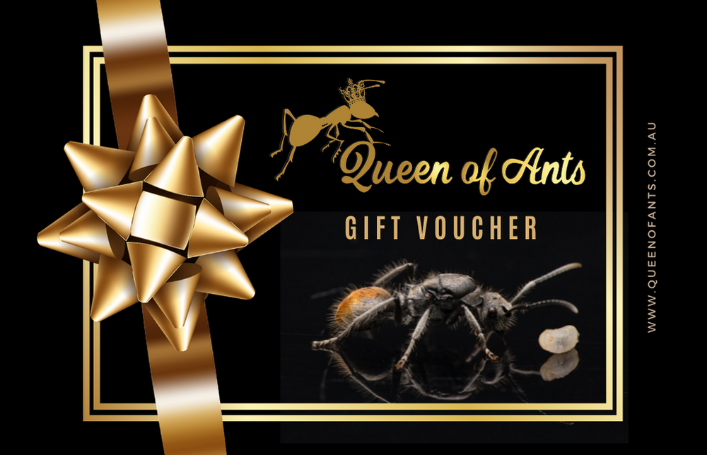 Queen of Ants Gift Card