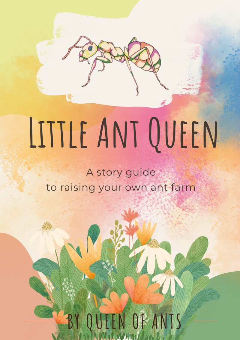 'Little Ant Queen' PDF Story Book Guide