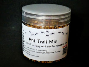 ant food seed mix foraging harvester ants